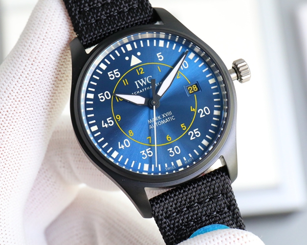 アイ・ダブリュー・シー背面デザイン